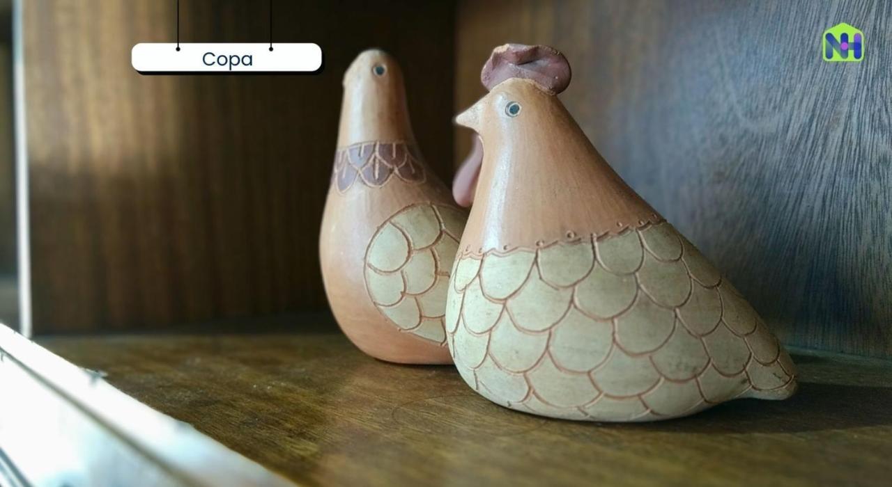 Casa Da Videira No Centro De - Sp Casa vacanze Olímpia